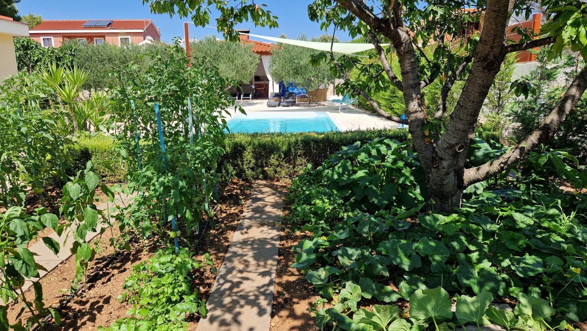 Resort Apartment Petrovic Šibenik Kültér fotó